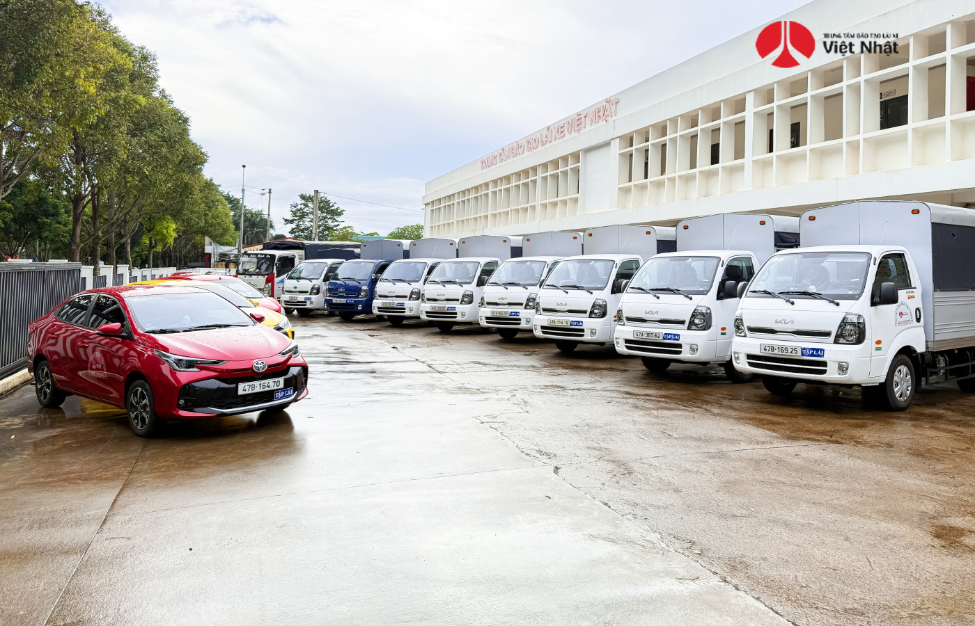 Mẹo học lý thuyết C1 600 câu dễ nhớ