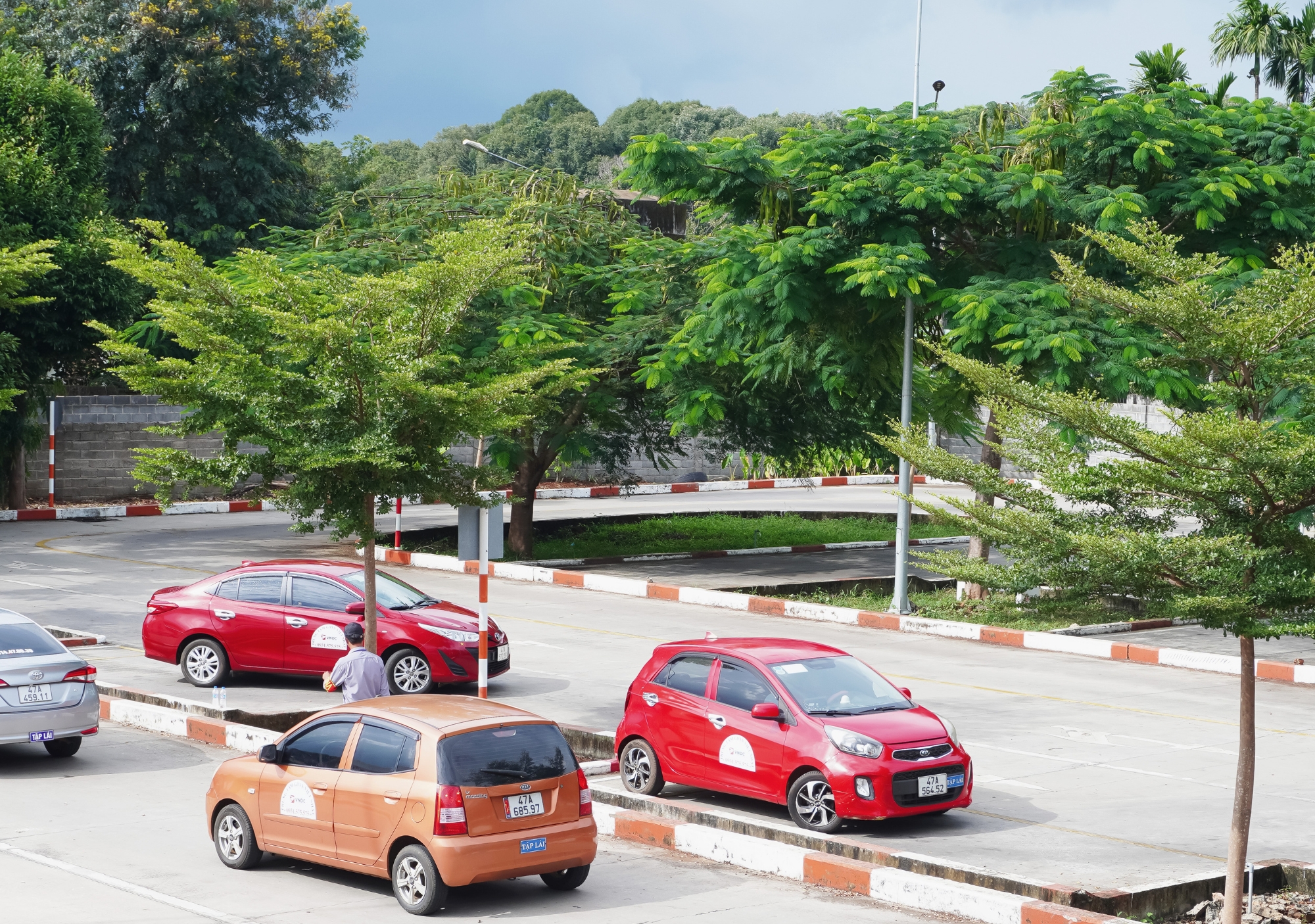 Phân biệt giấy phép lái xe xe số sàn và xe số tự động