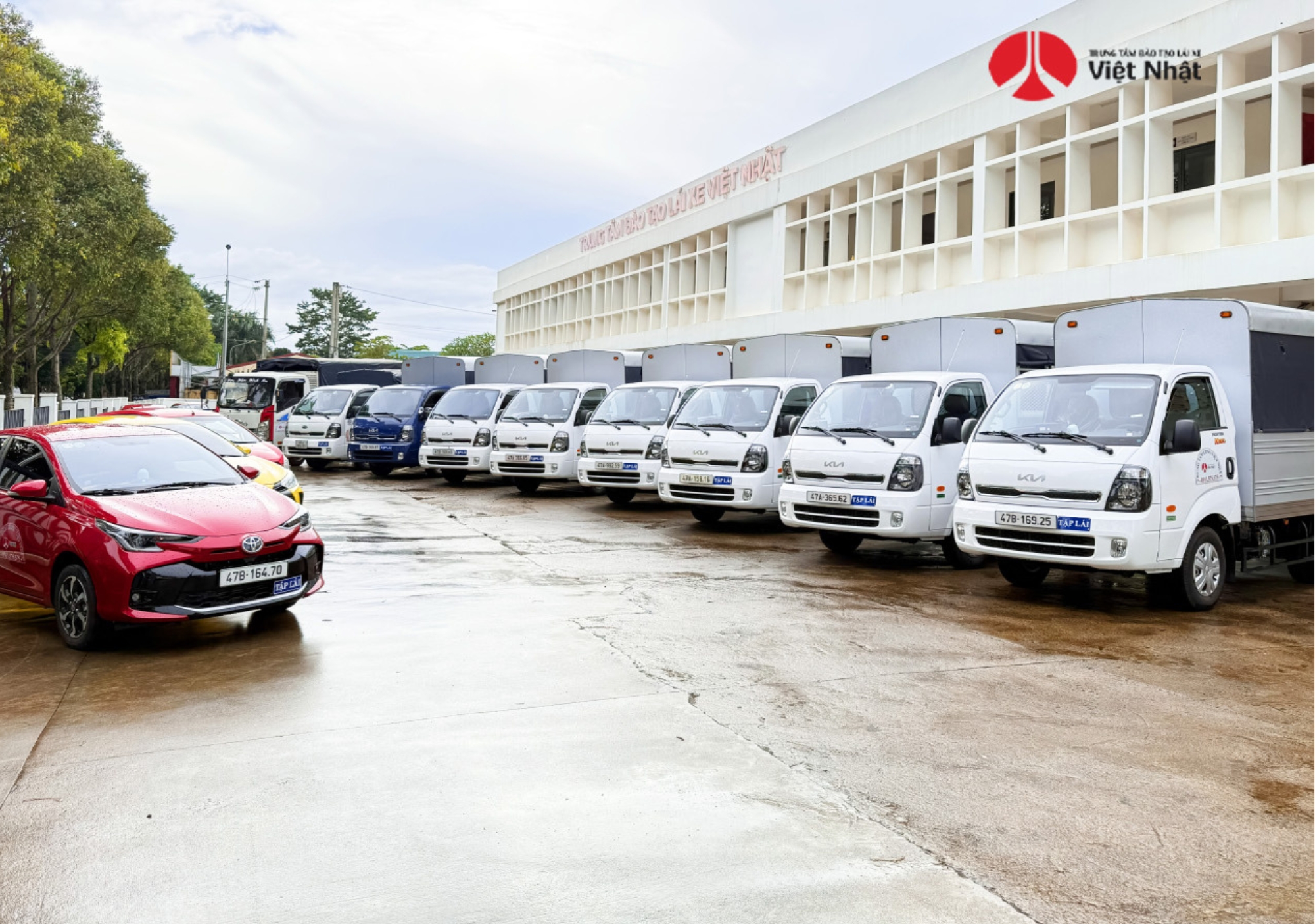 Mẹo học lý thuyết C1 600 câu dễ nhớ